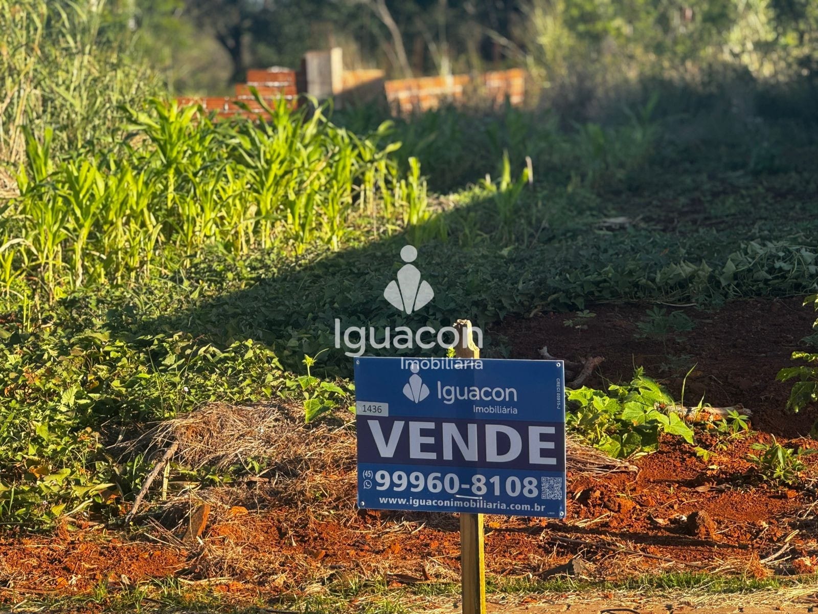 Terreno em Vila Mariana, Foz do Iguaçu, foto 4