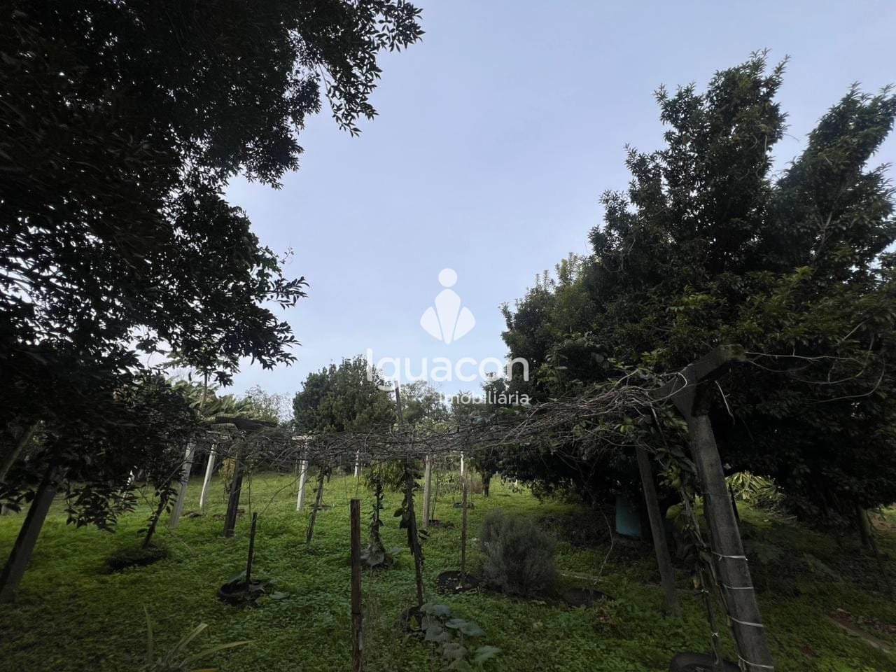 Chácara 3 quartos em Lote Grande, Foz do Iguaçu, foto 2
