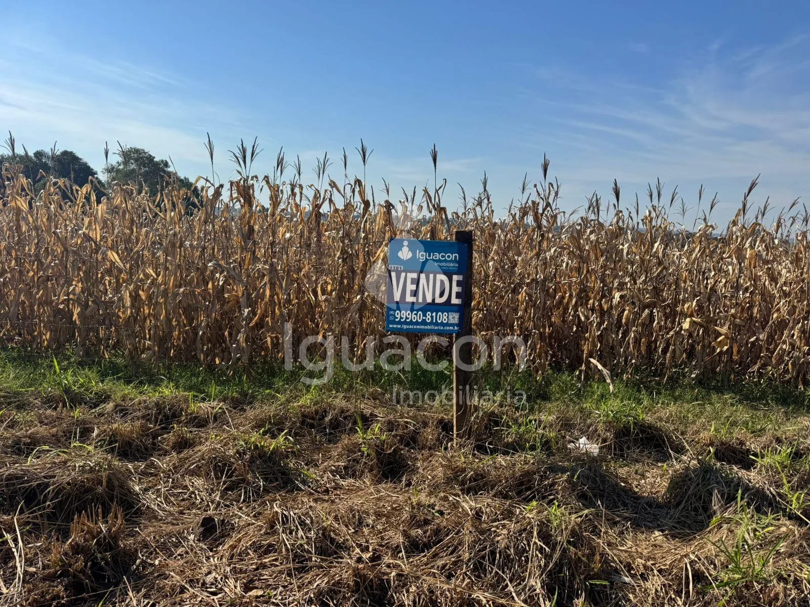 Terreno em Jardim São Roque, Foz do Iguacu, foto 2