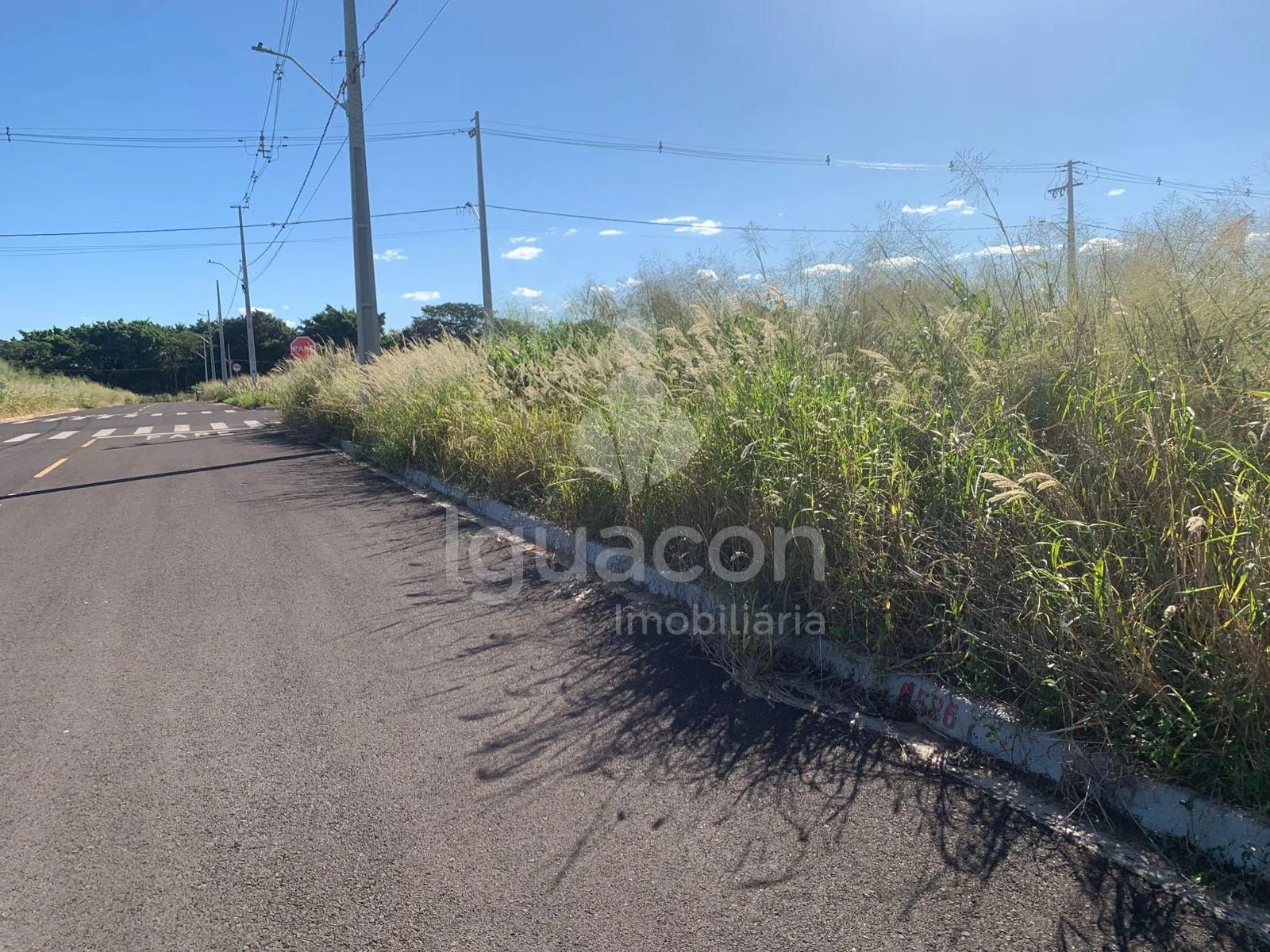 Terreno em Ecoville Ii, Foz do Iguacu, foto 1