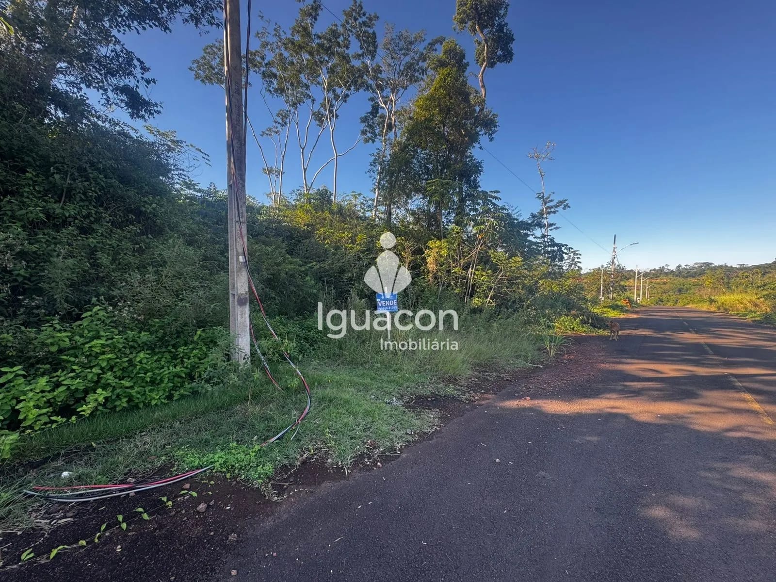 Terreno em Porto Belo, Foz do Iguaçu, foto 2