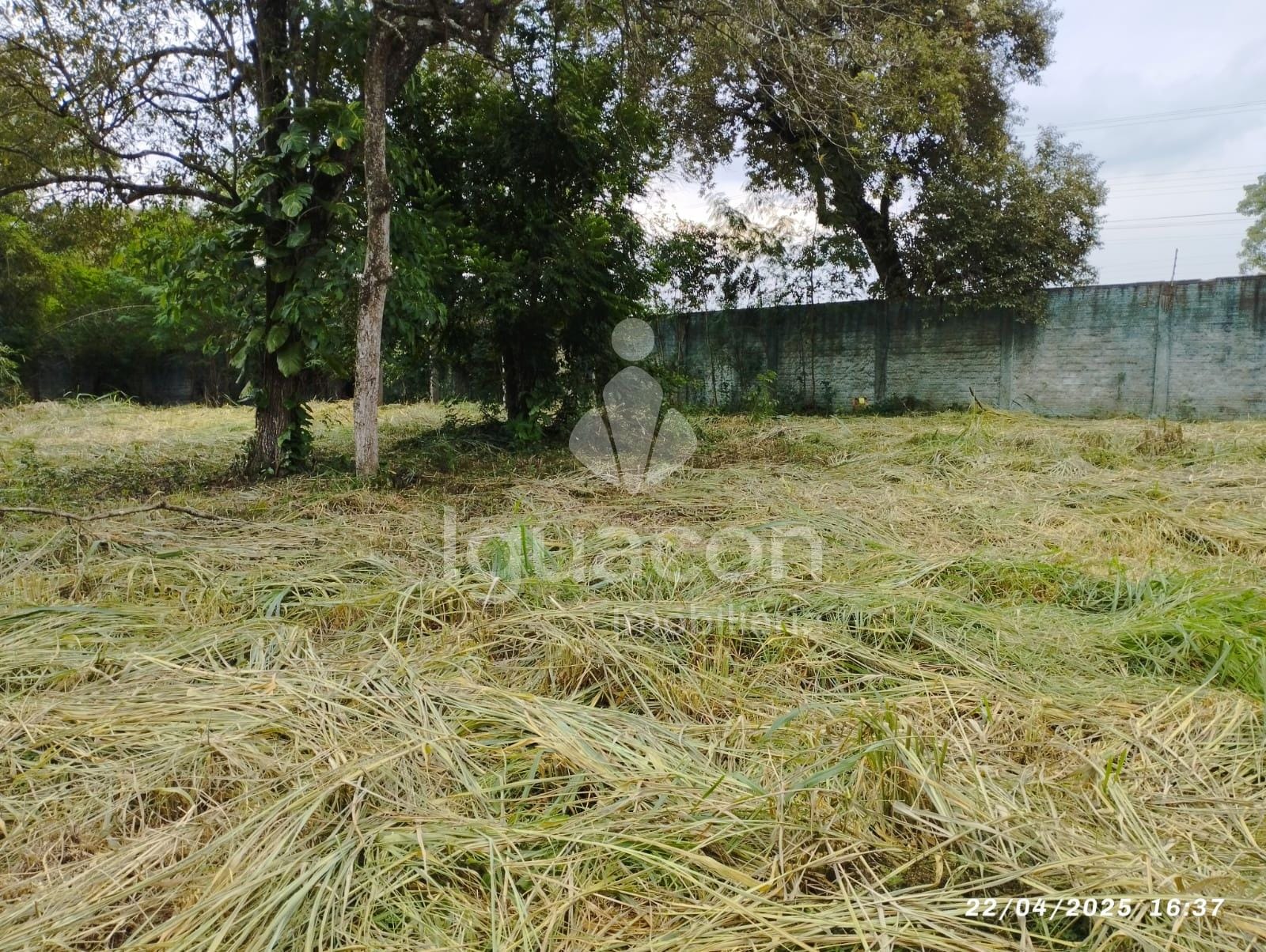 Terreno de 2.498m² na Avenida das Cataratas em Foz do Iguaçu — foto 2